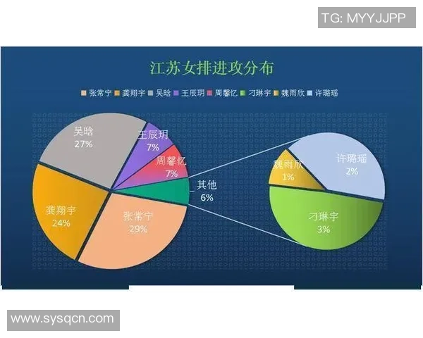 排球深度：解密成都排球队的转换
