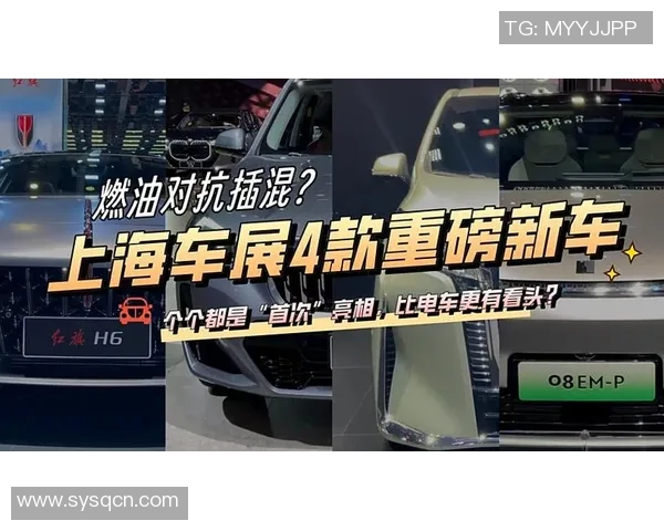 重磅专题：上海篮球队的控制革新